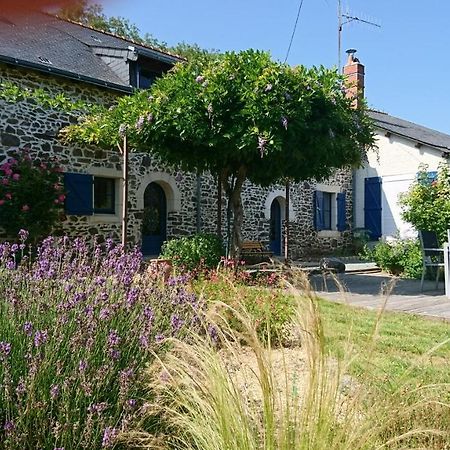 Murmures De Loire Montjean-sur-Loire Экстерьер фото