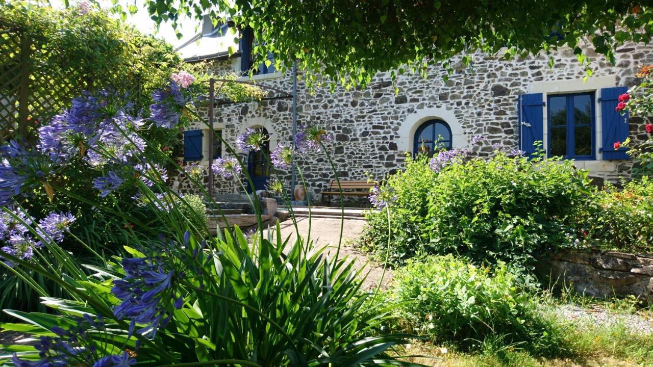 Murmures De Loire Montjean-sur-Loire Экстерьер фото